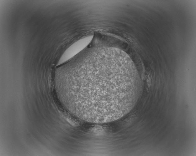 X0000080160416200701051610