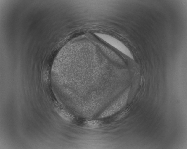 X0000080160417200701051610