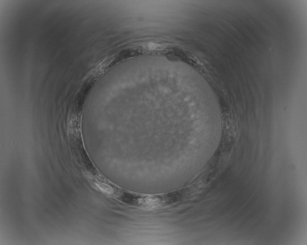 X0000080160419200701051610