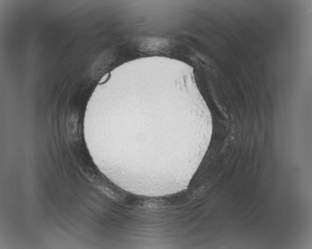 X0000080160420200701051610