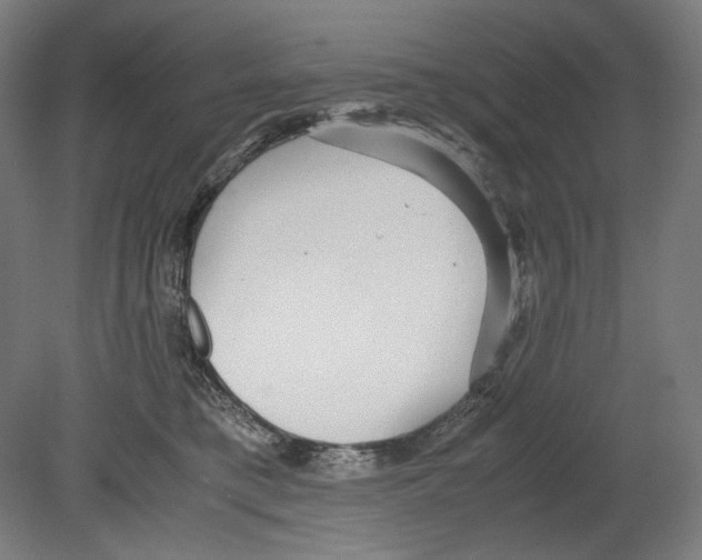 X0000080160421200701051610