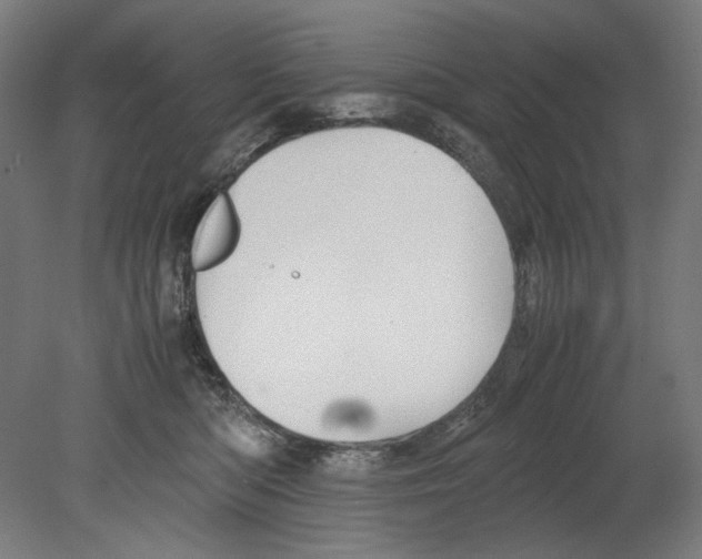 X0000080160422200701051610