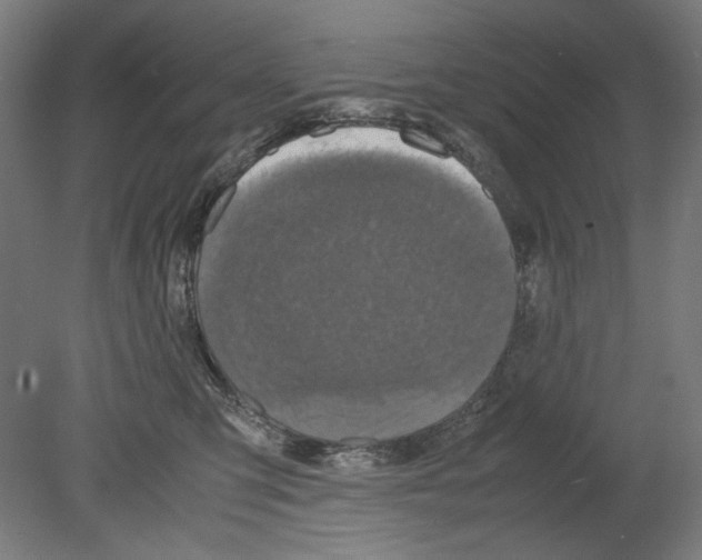 X0000080160423200701051610