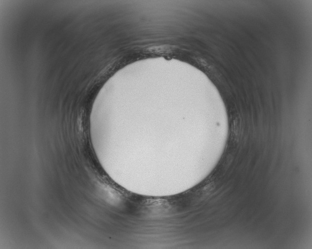 X0000080160424200701051610