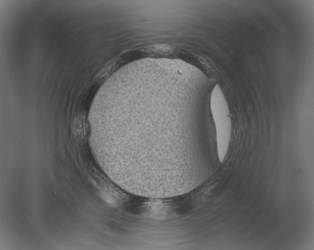 X0000080160425200701051610