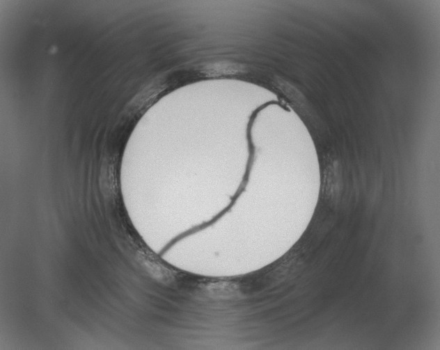 X0000080160426200701051610