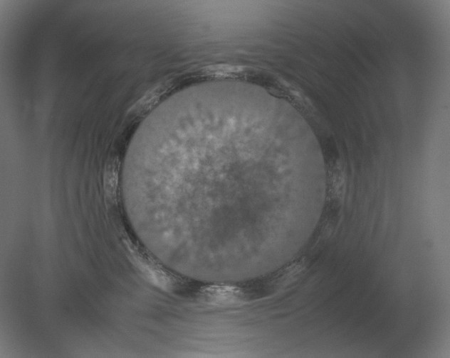 X0000080160427200701051610