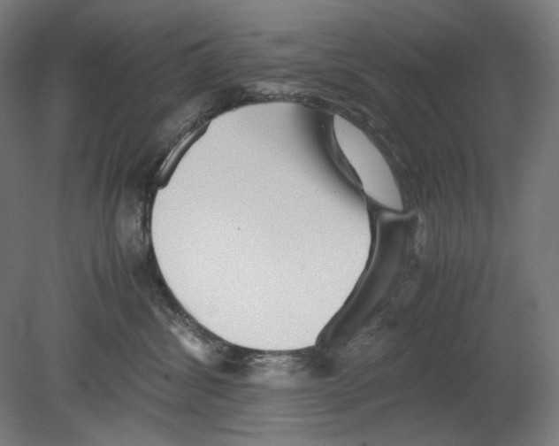 X0000080160428200701051610