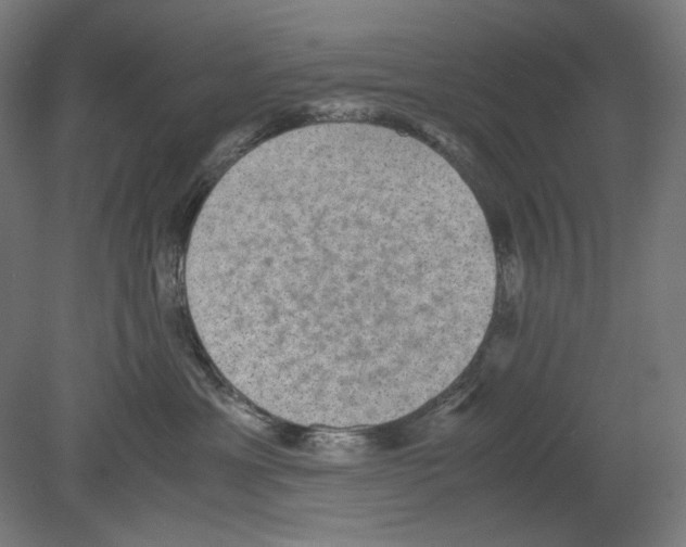 X0000080160429200701051610