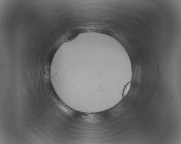 X0000080160430200701051610