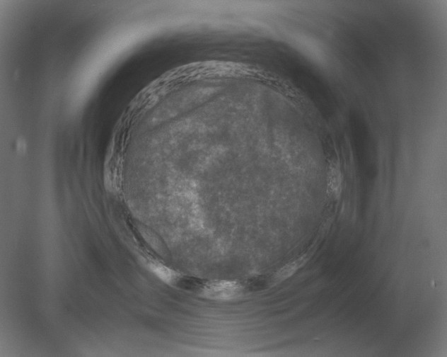 X0000080160431200701051610