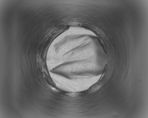 X0000080160432200701051610