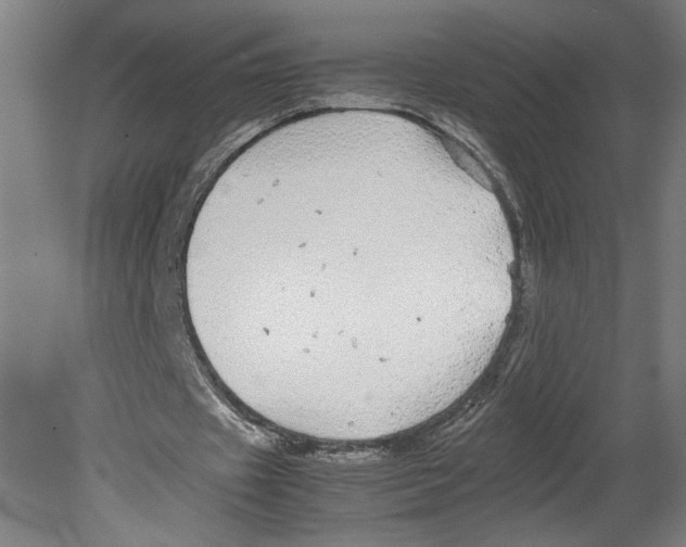 X0000080160433200701051609