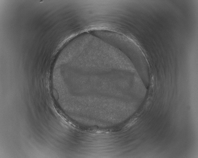 X0000080160434200701051609