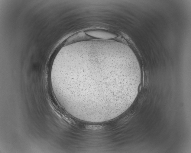 X0000080160435200701051609