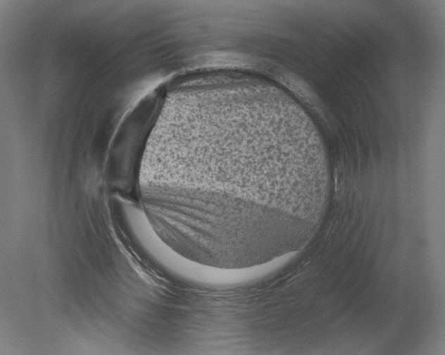 X0000080160436200701051609