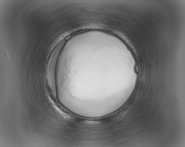 X0000080160437200701051609