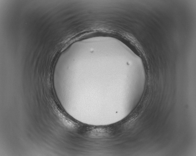 X0000080160441200701051609