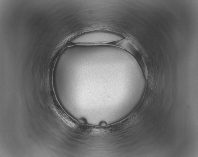 X0000080160442200701051609