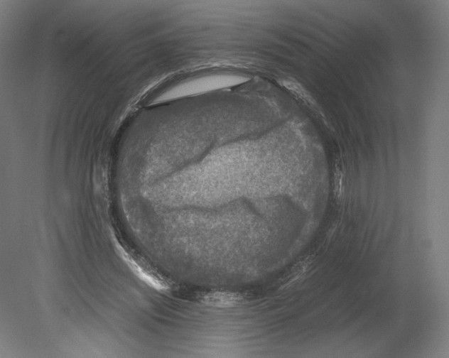 X0000080160444200701051609