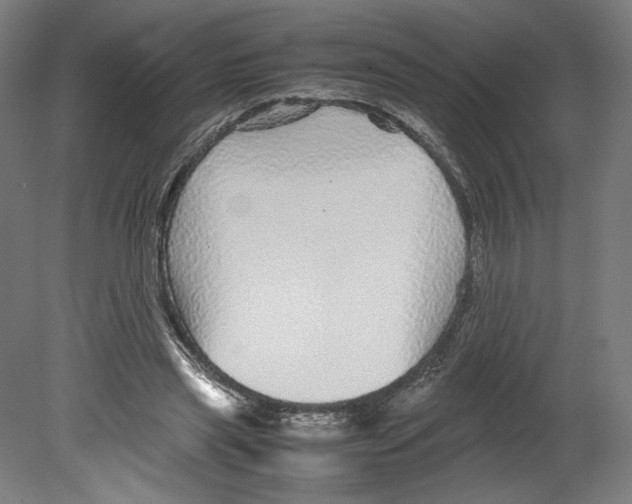 X0000080160445200701051609