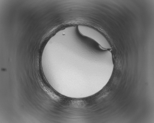 X0000080160446200701051609