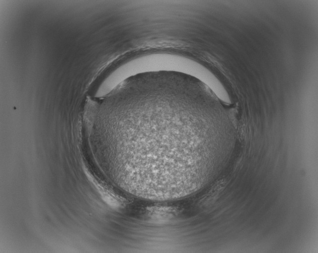 X0000080160448200701051609