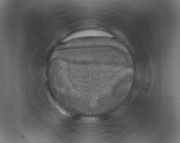 X0000080160449200701051609