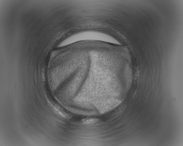 X0000080160452200701051609