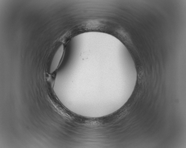 X0000080160454200701051609