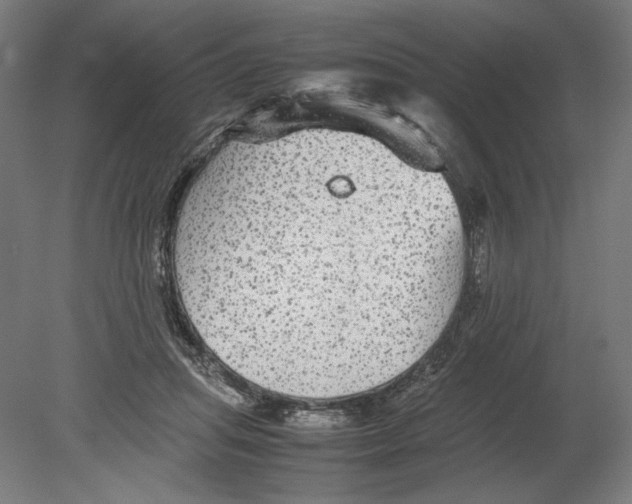 X0000080160455200701051609