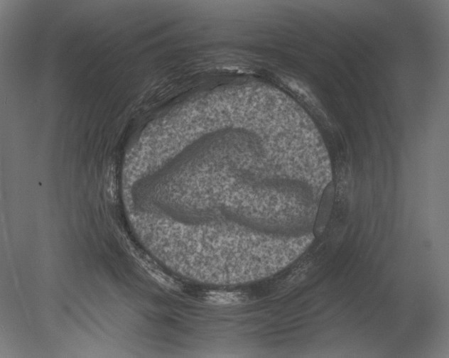 X0000080160457200701051610