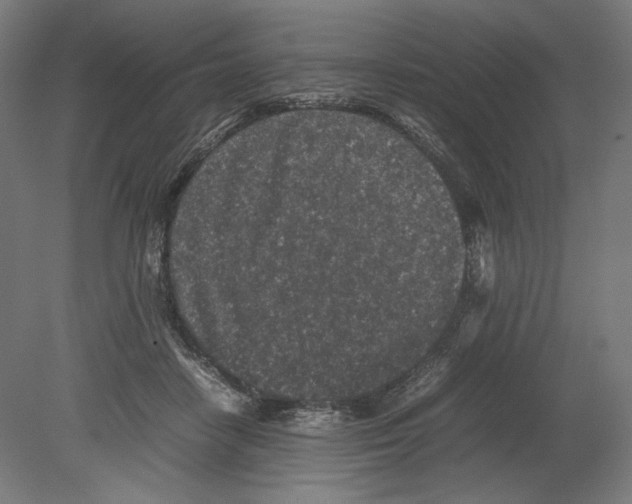 X0000080160458200701051610