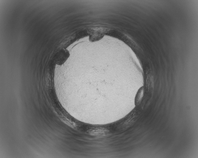 X0000080160459200701051610