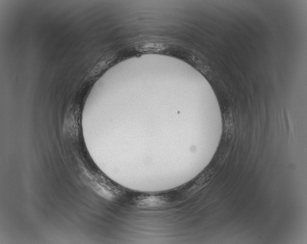 X0000080160460200701051610