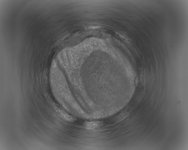 X0000080160461200701051610