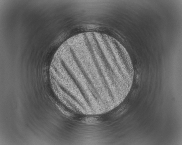 X0000080160462200701051610