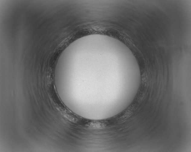 X0000080160464200701051610