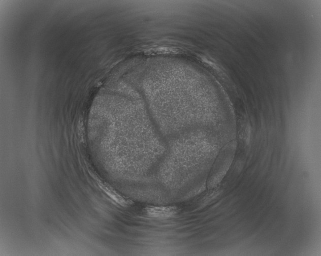 X0000080160465200701051610