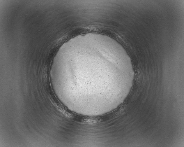 X0000080160466200701051610