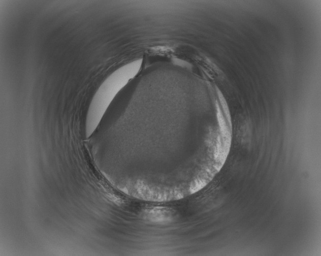 X0000080160467200701051610