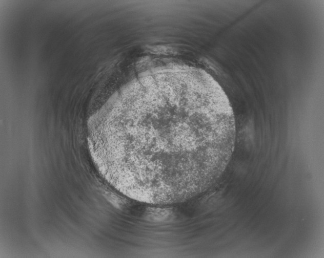 X0000080160469200701051610