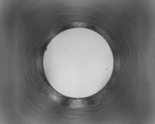 X0000080160473200701051610