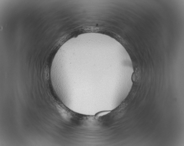 X0000080160474200701051610