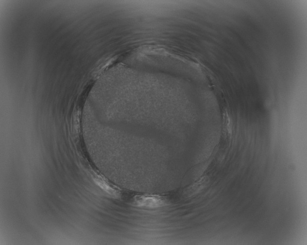 X0000080160475200701051610