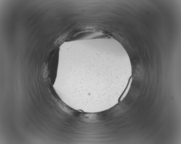 X0000080160478200701051610