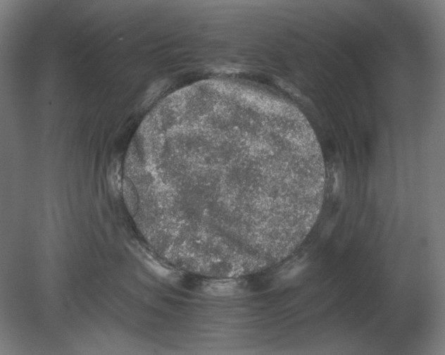 X0000080160479200701051610