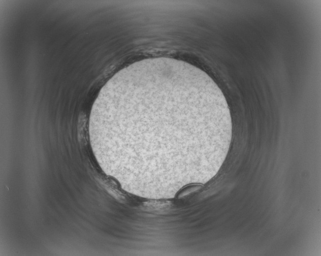 X0000080160480200701051610