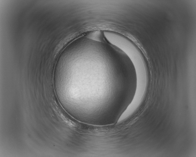 X0000080160481200701051609