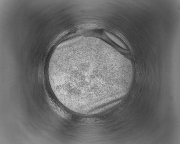 X0000080160482200701051609